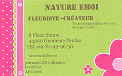 Logo de l'entreprise Nature Emoi